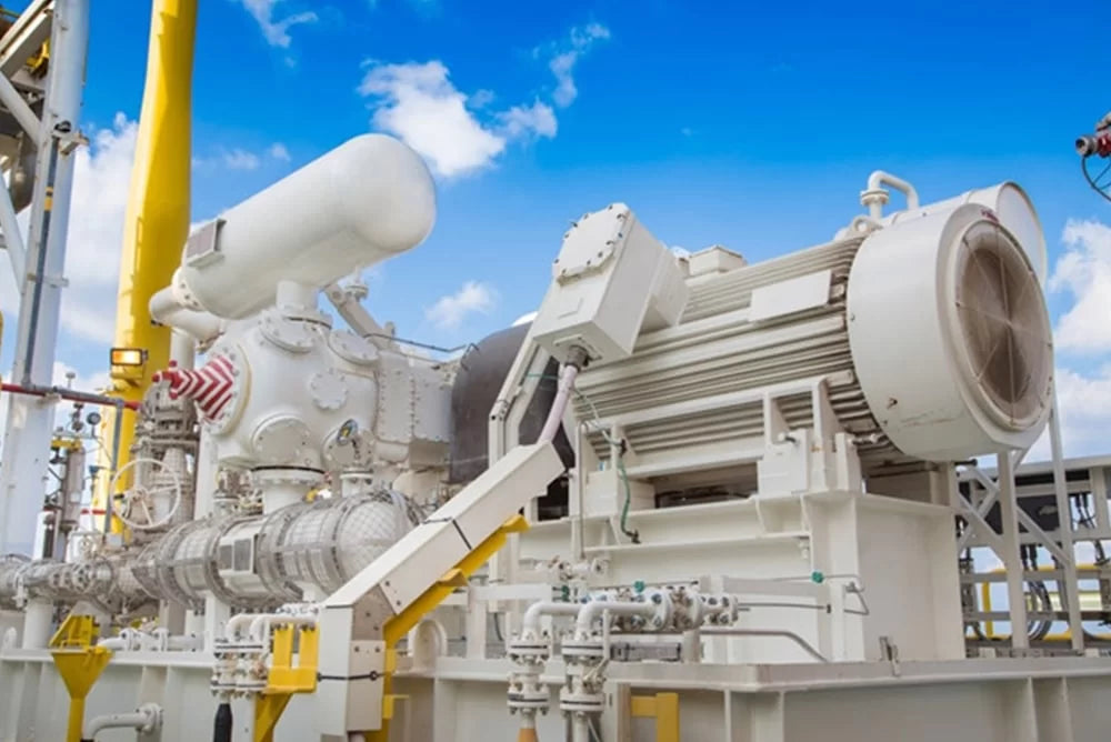 Gas compressor oils