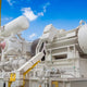 Gas compressor oils